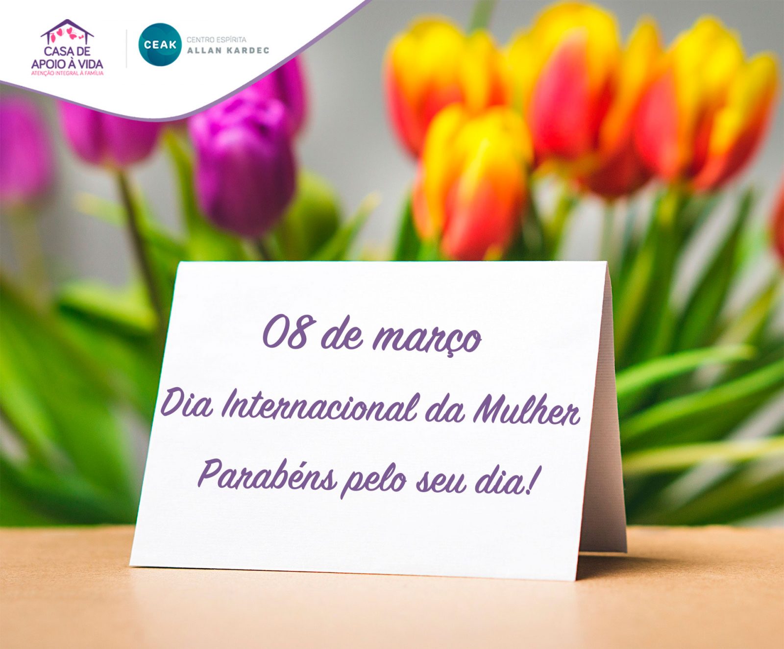 08 de março: Dia Internacional da Mulher - Instituto Todos os Cantos