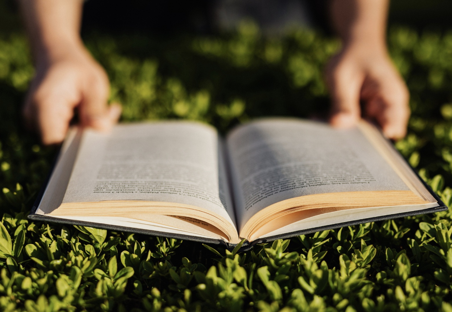 NÚCLEOS DOUTRINÁRIOS